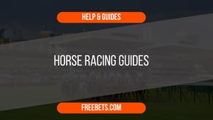 Horse Racing Bet Guides
