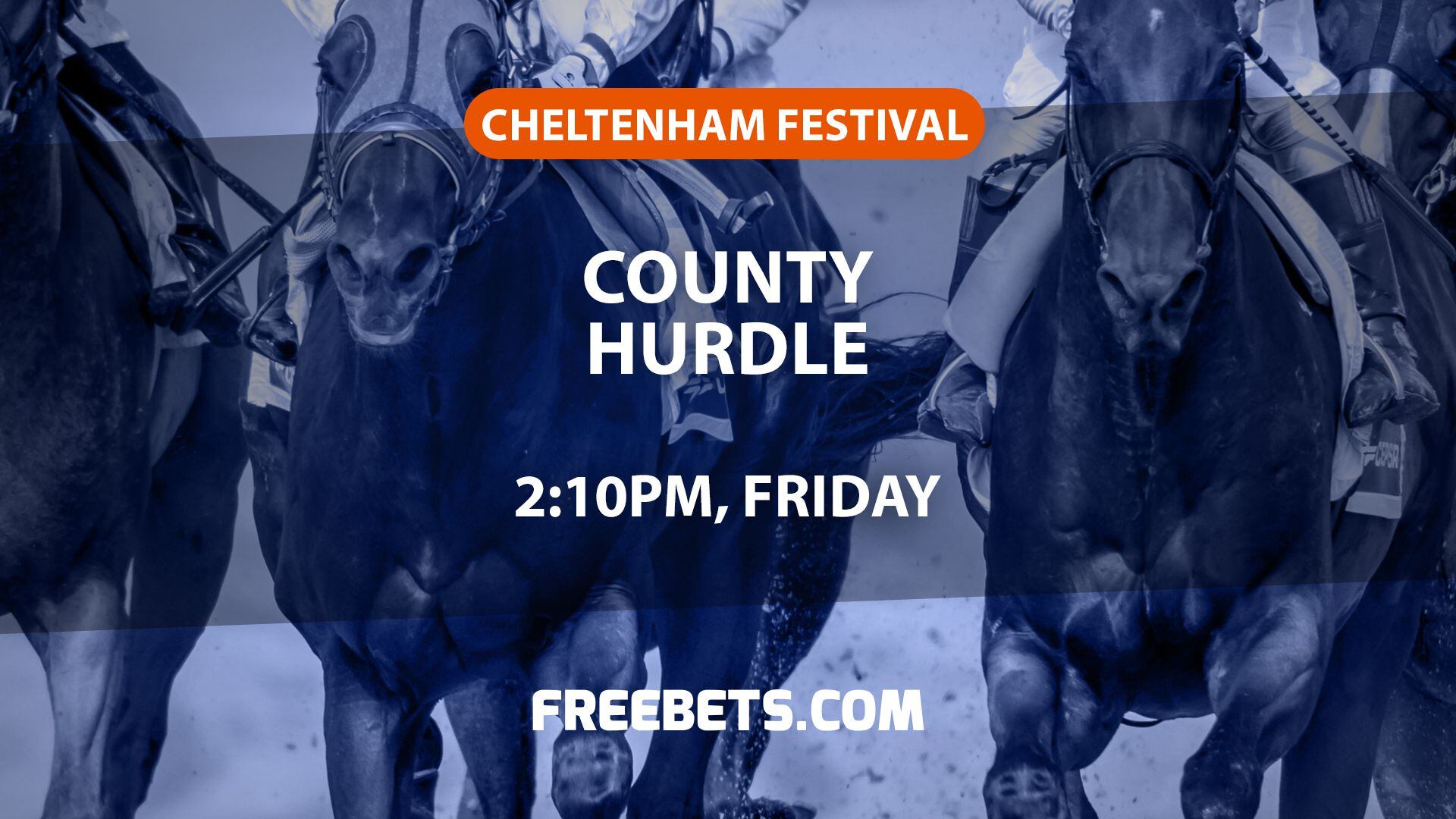 Cheltenham betting offers best free bets for the Gold Cup🌿 Explore o